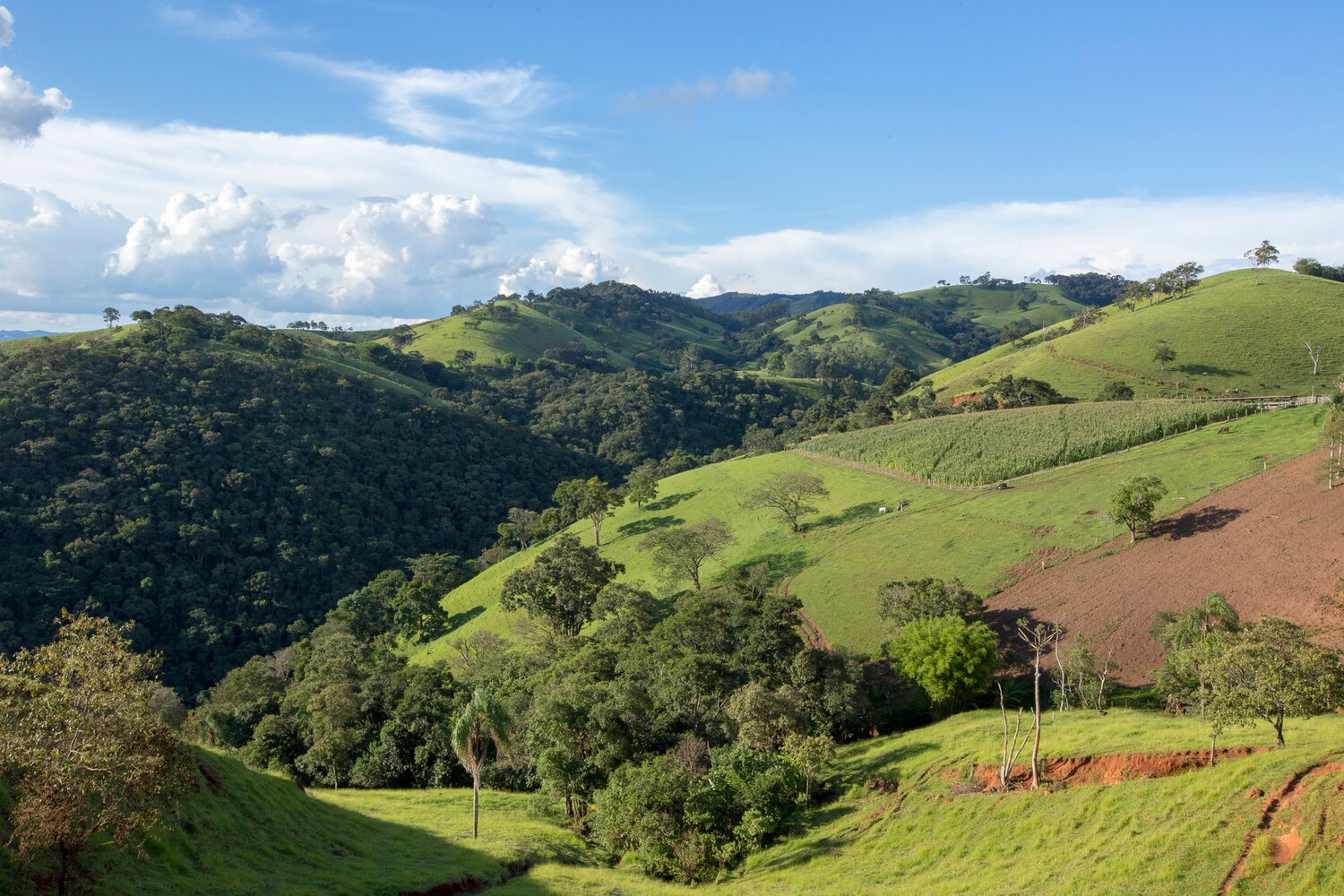 Wide view green hills serra da mantiqueira state minas gerais brazil 74436 1739 Wide view green hills serra da mantiqueira state minas gerais brazil 74436 1739